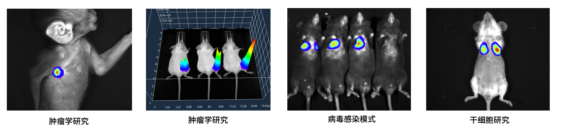 AniView100多模式動(dòng)物活體成像系統(tǒng)應(yīng)用案例